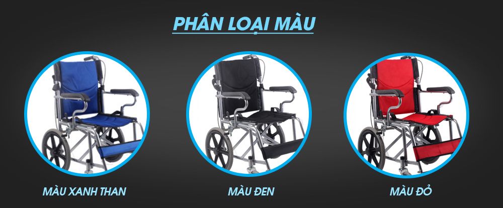 Xe lăn tay cao cấp loại vành đúc cao cấp TM113Đ