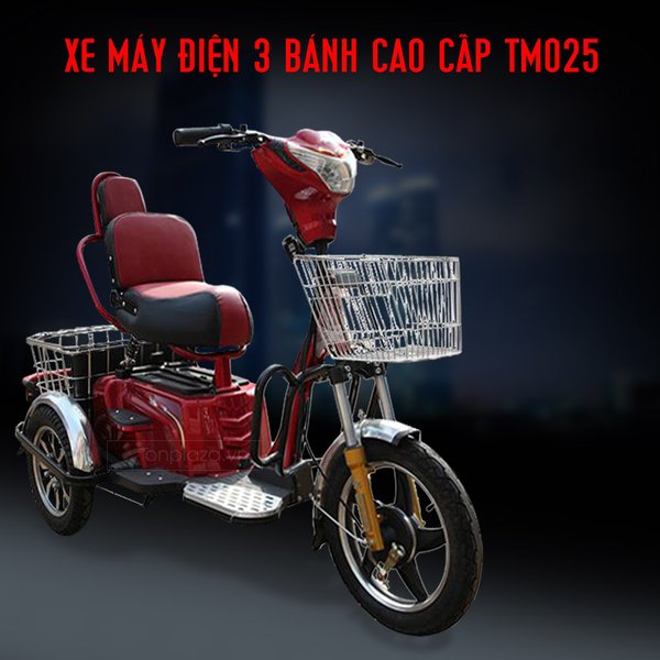 xe moto điện 3 bánh thích hợp cho người khuyết tật